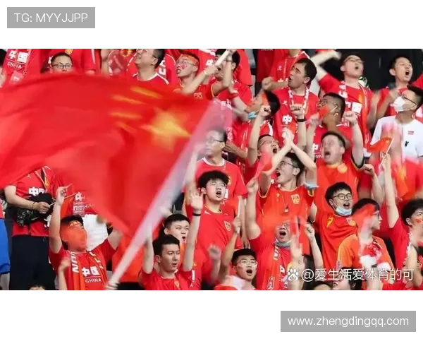 中国足球联赛新赛季开幕 亮点球员加盟引发球迷热议